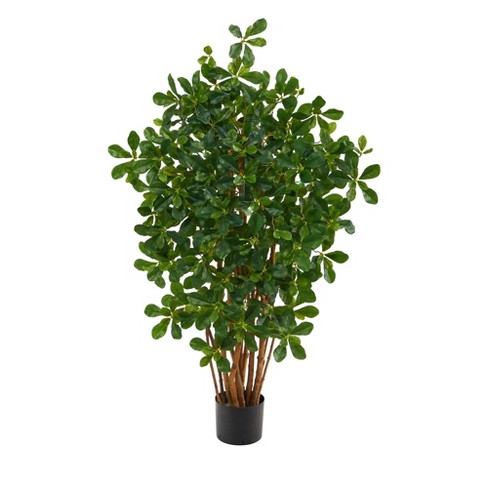 Nearly Natural 3.5-ft Black Olive Artificial Tree - image 1 of 4