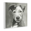 Stupell Industries Muted Dog with Quiet Expression Wall Plaque Art, 12" x 12" - 2 of 4