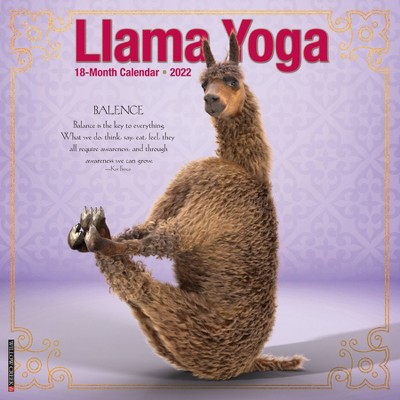 2022 Wall Calendar Llama Yoga - Willow Creek Press