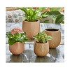 tagltd Cross Hatch Planter Small Taupe Glazed Stoneware 6.1L x 6.1W x 5.7H inches Fits up to a 4" drop in pot. - 2 of 2