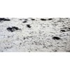 Rugs America Nash HC33 Animal Contemporary Area Rug - 4 of 4
