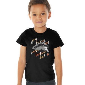 Toddler Boys' Harry Potter Hufflepuff Lines T-Shirt - 1 of 4