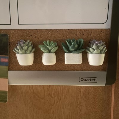 Green Potted Plant Wood Push Pins