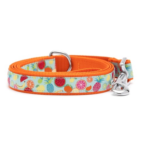 The Worthy Dog Tutti Frutti Pet Leash - image 1 of 4