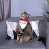 Pavilion Gift Company - It's My Birthday - 7" x 5" Canvas Slip on Pet Bandana - Pet Toy - 2 of 4