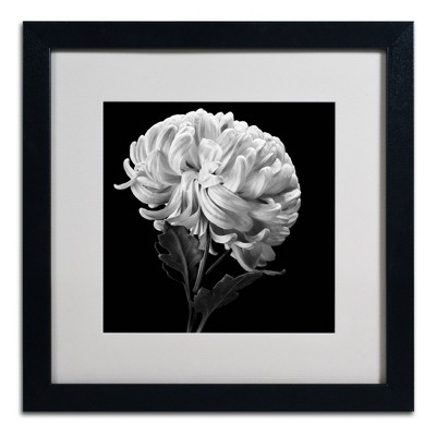 Michael Harrison Black and White Floral Canvas Print with Black Frame