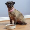 Mason Cash: Embossed Bone Dog Bowl, Cream, 5.9", 17oz, Food & Water Dish - 3 of 4