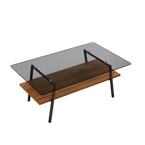 NicBex 38.58 Inch Rectangle Coffee Table with Tempered Glass Tabletop and Storage Shelf,Side Center Table for Living Room - 1 of 4