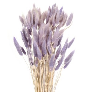 Unique Bargains Decorative Natural Dried Floral Bunny Tail Artificial Plants 120 Pcs - 1 of 4