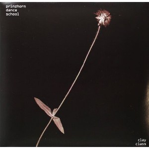 Prinzhorn Dance School - Clay Class (Digital Download Coupon) (Vinyl) - 1 of 1