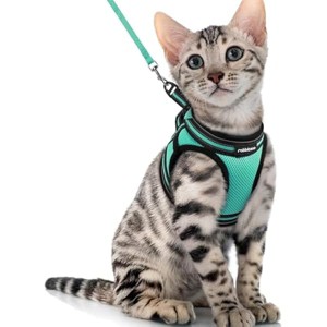 rabbitgoo Cat Harness and Leash Set for Walking Escape Proof, Adjustable Soft Kittens Vest with Reflective Vest, Green, XL - 1 of 1