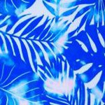 ombre blue palm