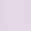 lavender purple