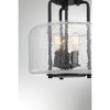 Savoy House Avalon 3 - Light Semi-Flush Mount in  Black - 4 of 4