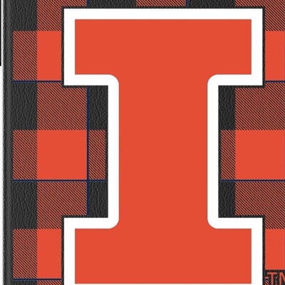 illinois fighting illini