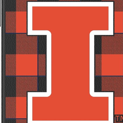 illinois fighting illini