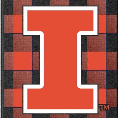 illinois fighting illini