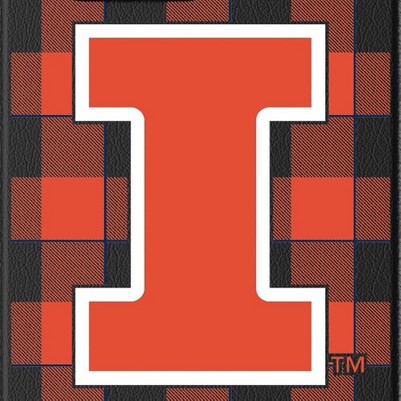 illinois fighting illini