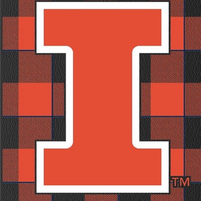 illinois fighting illini