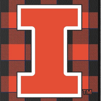 illinois fighting illini