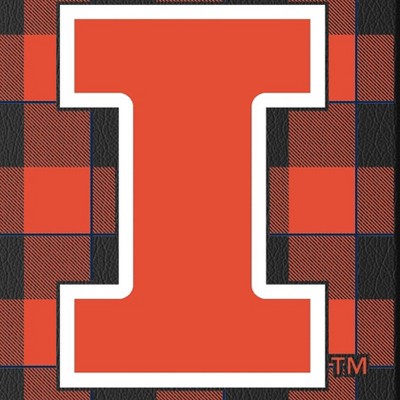 illinois fighting illini