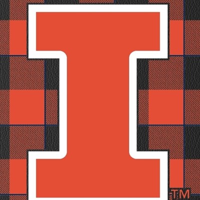 illinois fighting illini
