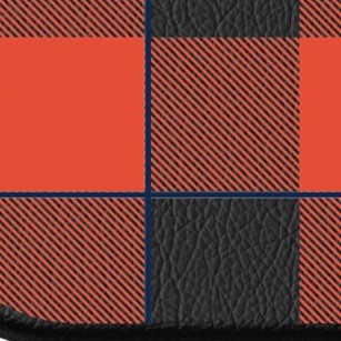 illinois fighting illini