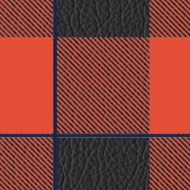 illinois fighting illini