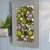 Modern Home Living Wall Galvanized Steel/Zinc Succulent Planter - 3 of 4