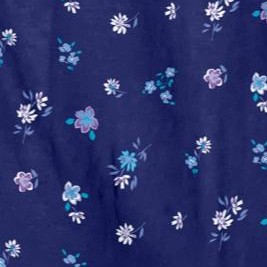 evening blue flowers