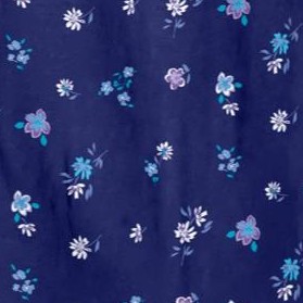 evening blue flowers