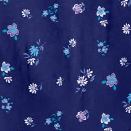 evening blue flowers