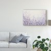 Trademark Fine Art -Tim Otoole 'Soft Focus Ii' Canvas Art - 3 of 4