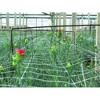 Tenax Hortonova Trellis Plant Net/Support, White 6.5' x 100' - 2 of 4