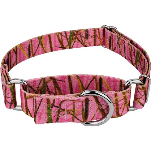 Waterfowl dog clearance collar