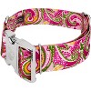 Country Brook Petz HossFit Jr Wide Premium Dog Collar - Paisley Collection (Pink Paisley, Large) - 4 of 4