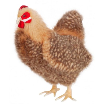 chicken cuddly toy