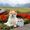 Pavilion Gift Company - Pawprints - 6" Garden Stone - Stepping Stones and Pathways - 2 of 4