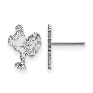 Black Bow Jewelry 14k White Gold Virginia Tech Hokies NCAA Post Earrings - 1 of 3