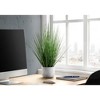 Vynxaria Artificial Plant, 21" Tall, Grass, Indoor, Faux, Fake, Table, Greenery, Potted, Real Touch, Decorative, Green Grass, White Pot - 3 of 4