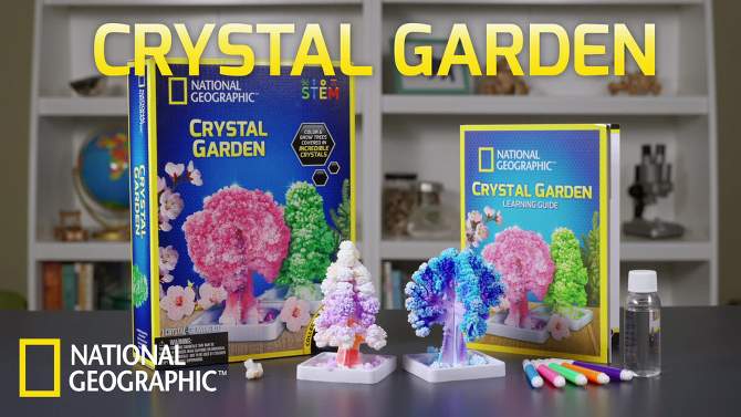 National Geographic Crystal Garden Science Kit, 2 of 12, play video