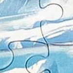 16 winter polar animals & puzzles