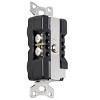 AudioQuest NRG Edison Duplex Wall Outlet - 20 Amp - 3 of 4