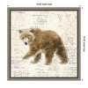 Amanti Art Into the Woods VI no Border (Bear) by Emily Adams Canvas Wall Art Print Framed 16-in. x 16-in. - 4 of 4