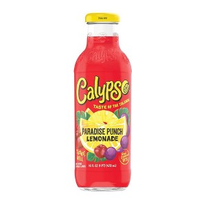 Calypso Paradise Punch Lemonade - 16 fl oz Glass Bottle - 1 of 4