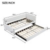 Accent Daybed Modern with Trundle Storage for Guest Room Twin Size - 3irtyhousy - 4 of 4