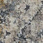camel, charcoal, blue, deepteal, lightgray, mediumgray