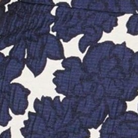 blue-navy