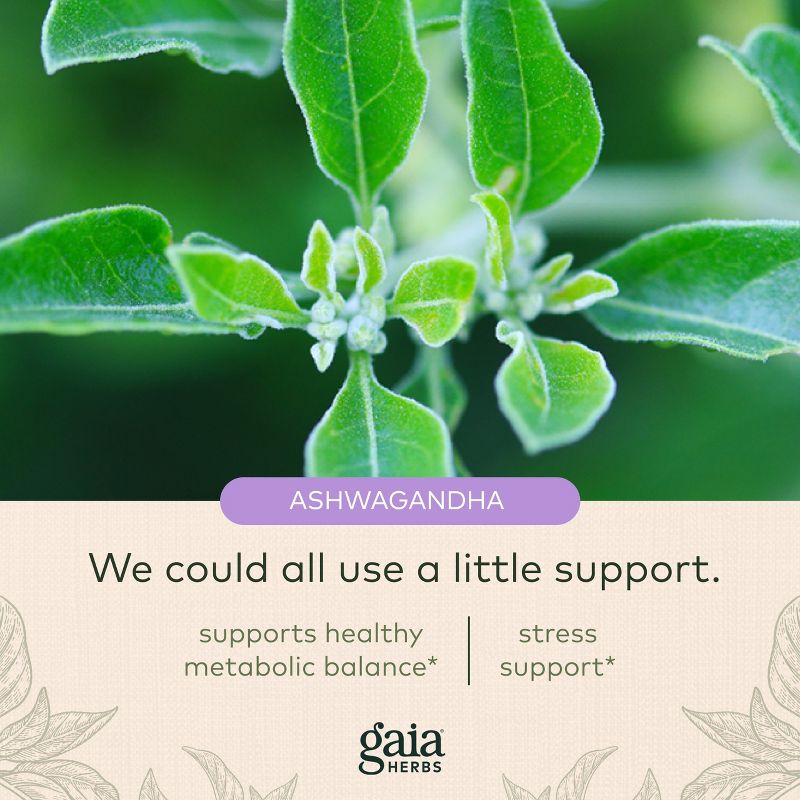 Gaia Herbs Thyroid Support - Made with Ashwagandha, Kelp, Brown Seaweed, and Schisandra, 5 of 9