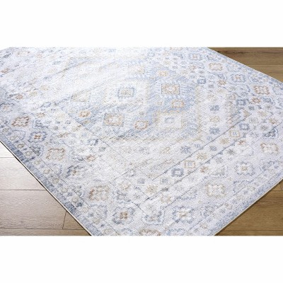 Hauteloom Agaton Living Room, Bedroom Machine Washable Area Rug - Traditional